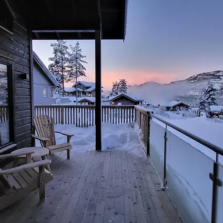 Ferienhaus Elegant Black With Amenities In